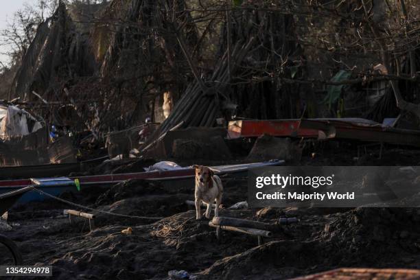 ALAGABAY: Gabay sa Alaga, Gabay sa Kabuhayan - Image 5