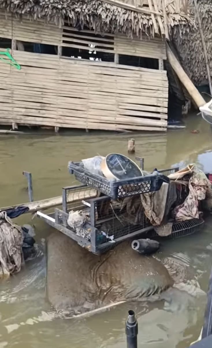 I am a victim of Typhoon Kristine and Uwan My House Is Totally Damage  - Image 5