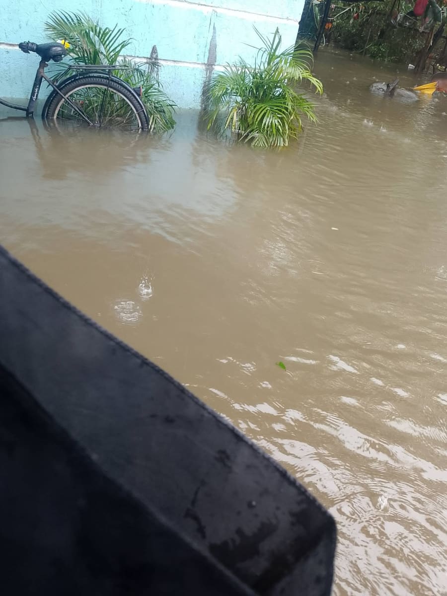 Flood Relief and Recovery - Image 1