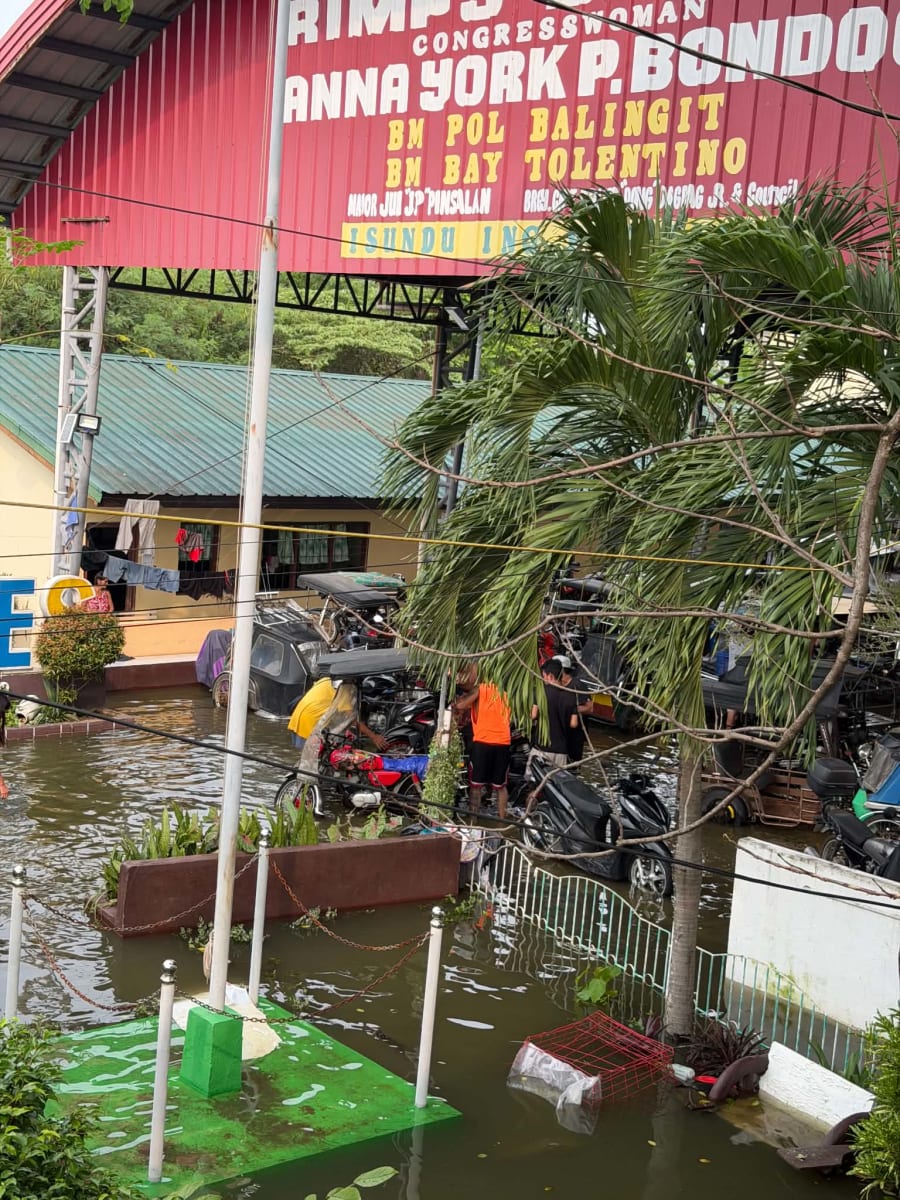 Rebuilding After the Flood: Help Hans and His Family - Image 4