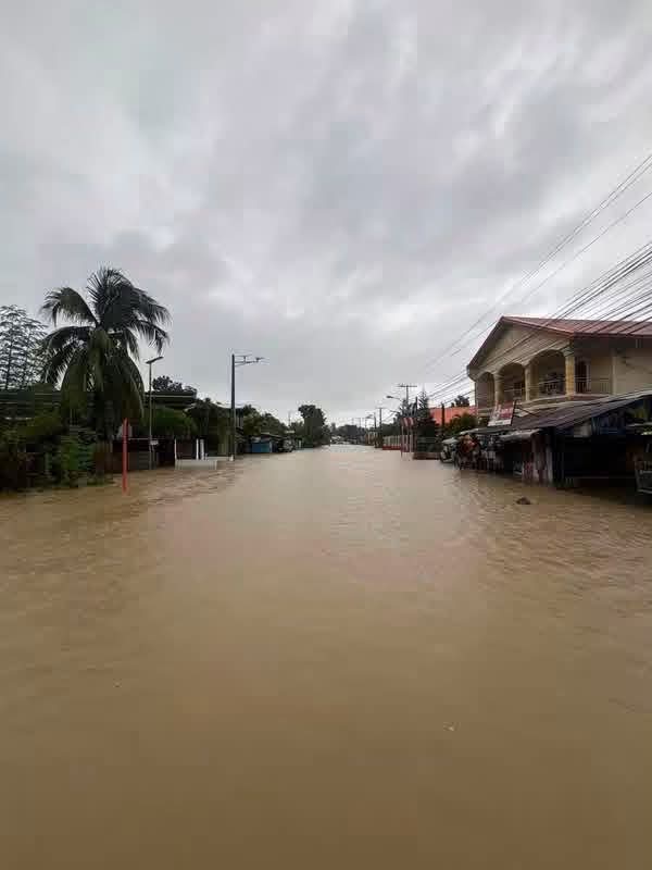 Flood Relief and Recovery - Image 3