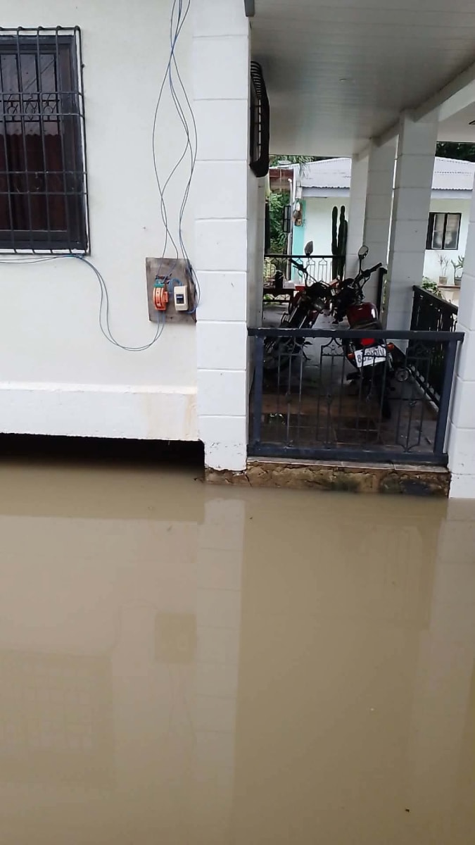 Help my parents to put up a small business aftrr Typhoon hit Nueva Ecija - Image 1