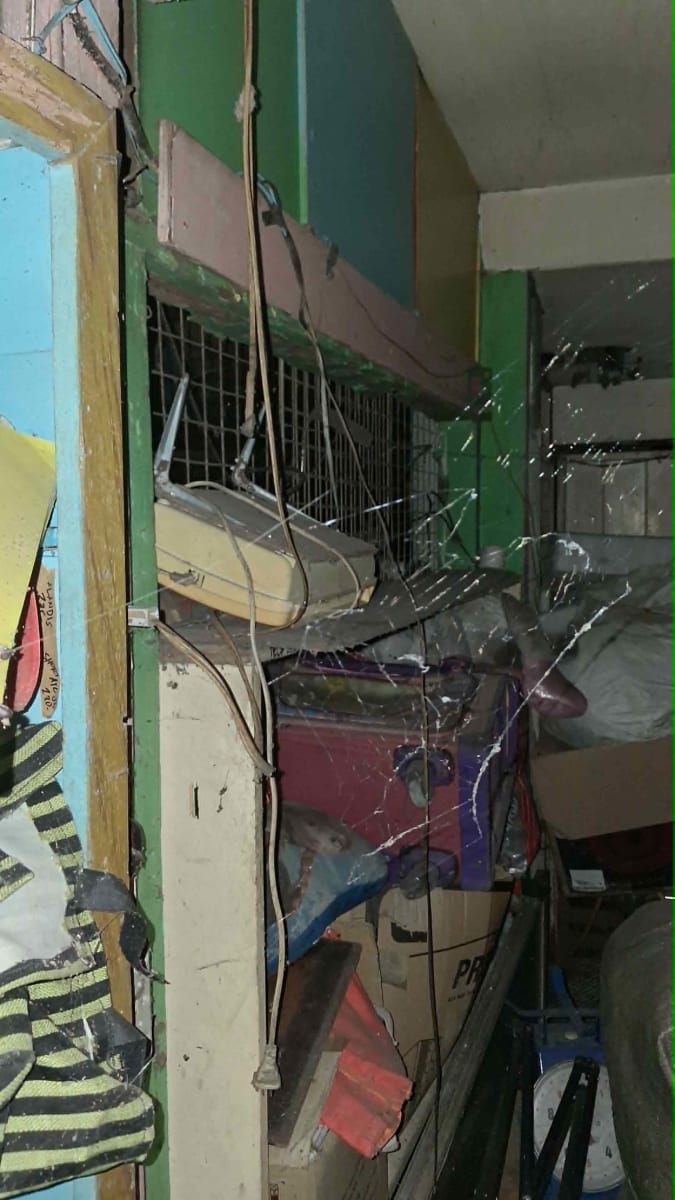 Help me escape an abusive and unstable household so I can continue my college education - Image 4