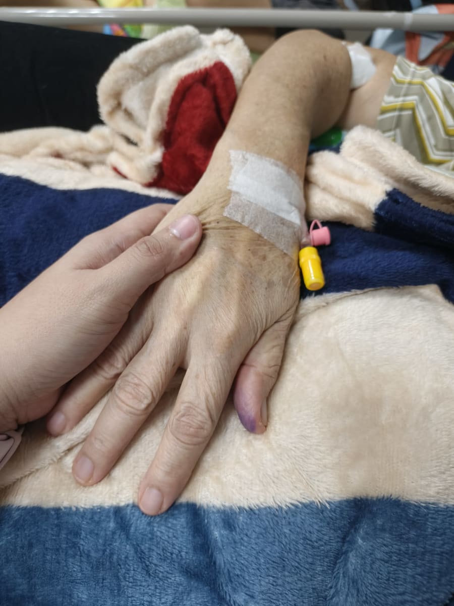Help Save My Mom: A Family’s Fight Against Cancer - Image 1