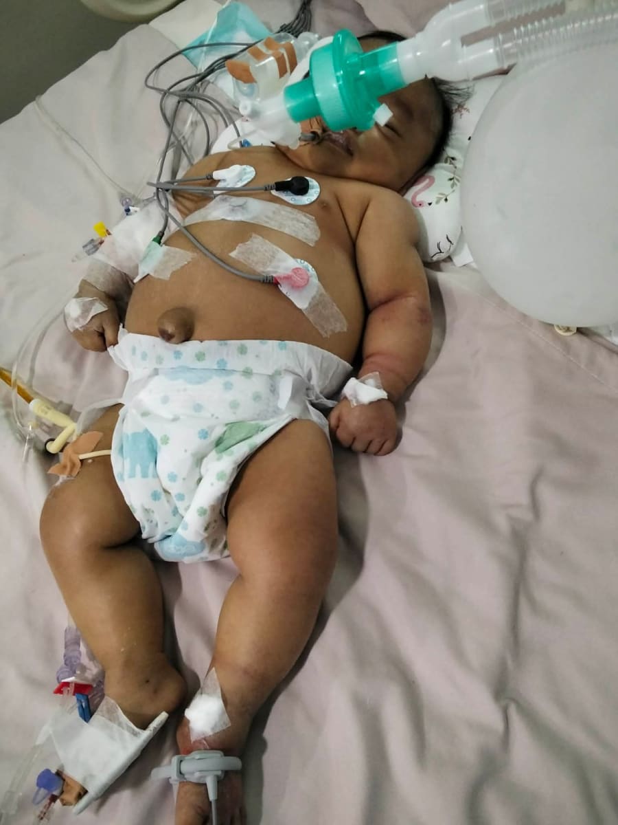 PLEASE HELP OUR NEPHEW DION AKIO - Image 1