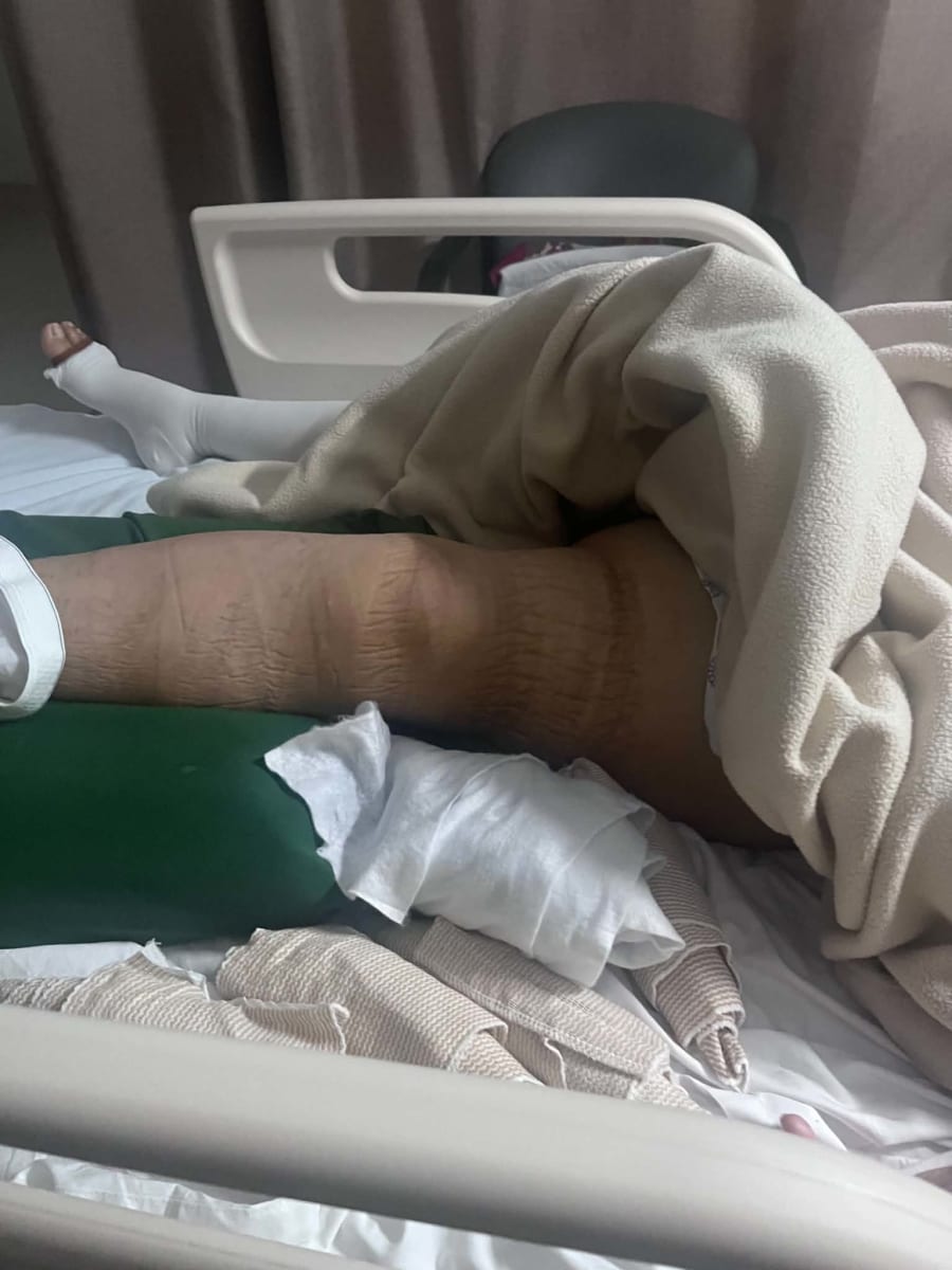 Help Us Keep Her Fighting 🙏 - Image 5