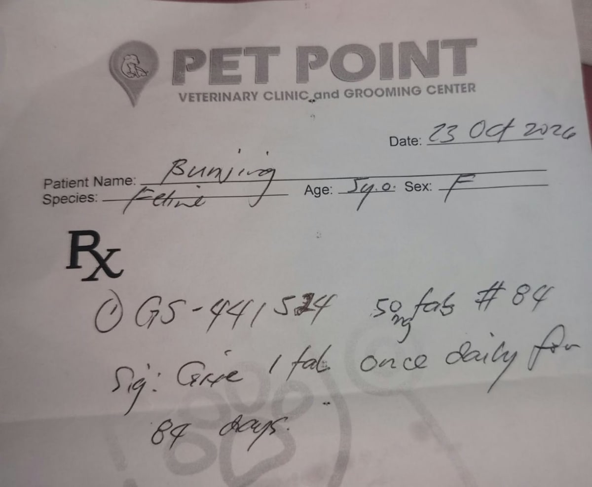 Help Bunjing to Fight FIP and Have a Chance to receover - Image 1