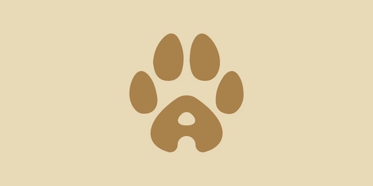 Help our Senior Dog, Cobie 