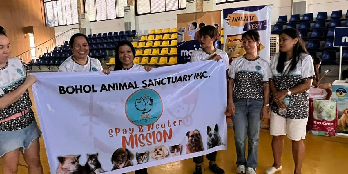 Bohol Animal Sanctuary Inc (BASI) Massive Spay & Neuter (Kapon) Outreach Program - 