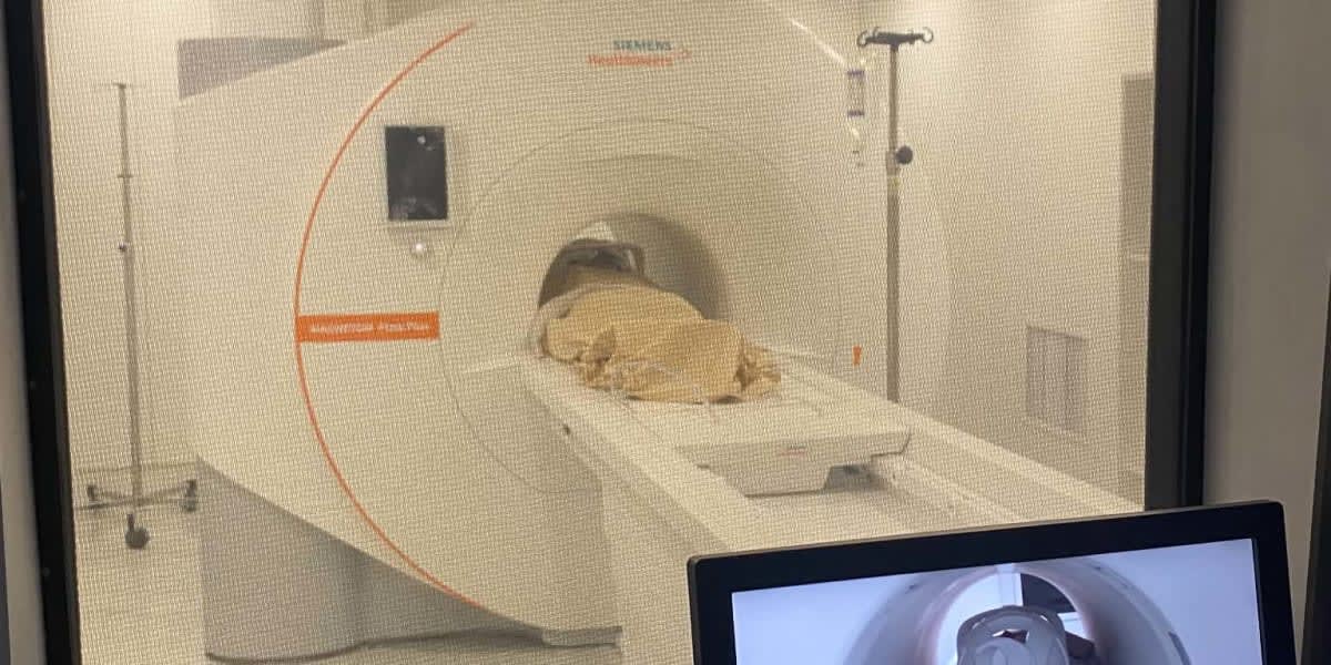 Help Dianara Through Her Medical Journey