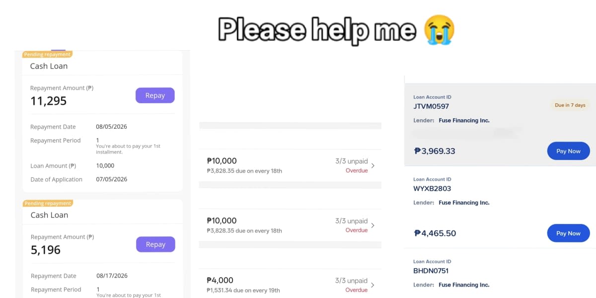 Help me rebuild my life