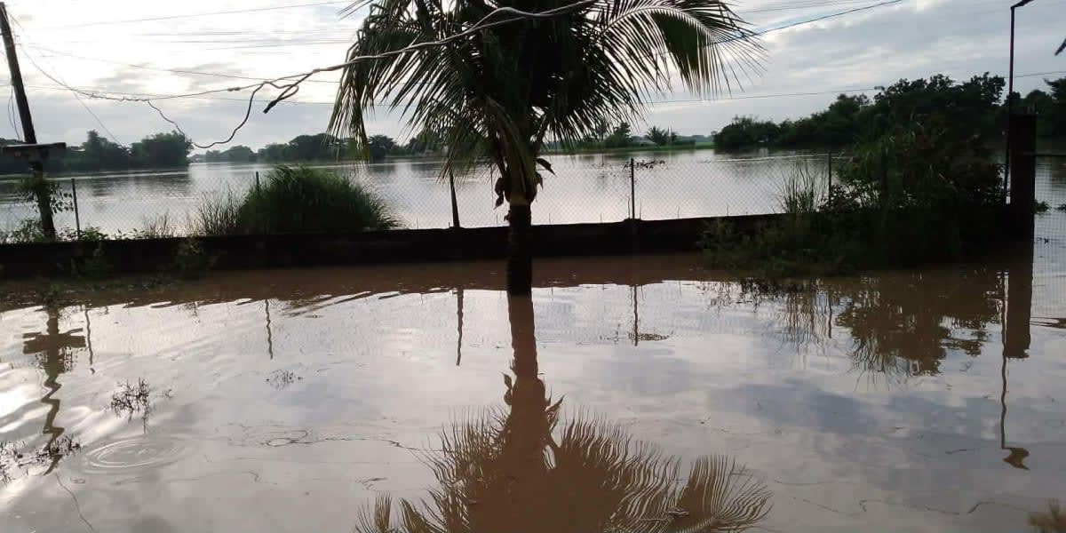 Help my parents to put up a small business aftrr Typhoon hit Nueva Ecija