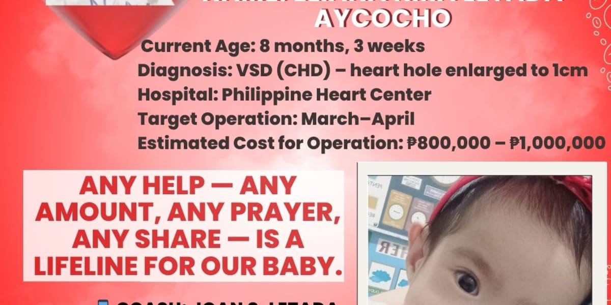 Fundraising for open heart surgery: PLEASE HELP SAVE OUR BABY GIRL ELIANA KIRA