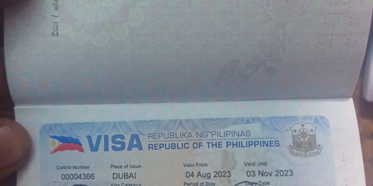 My visa status