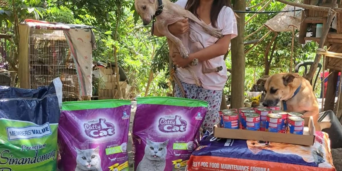 A Bowl of Food, A Lifetime of Love