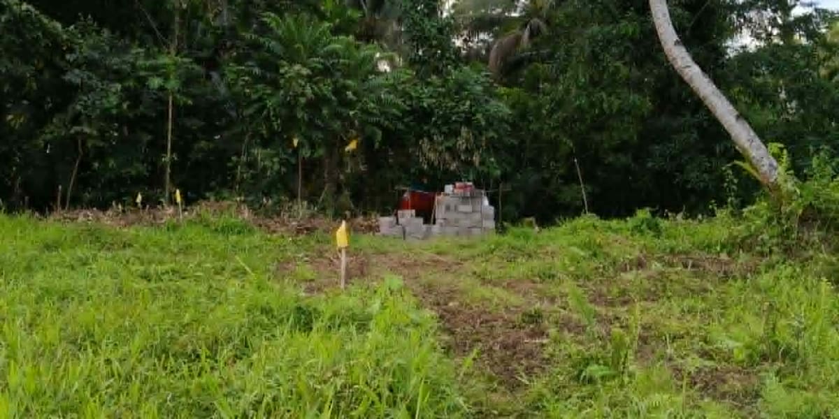 From Dreams to Livelihood: Help Us Build Our Family Piggery