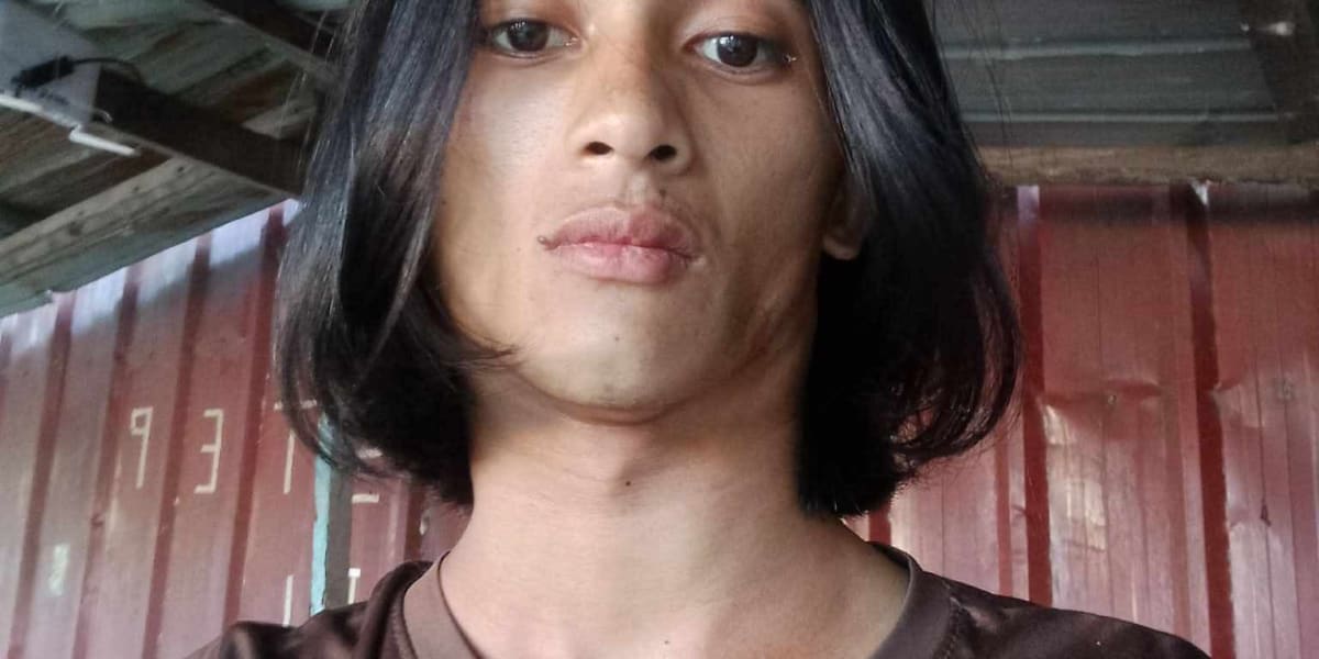 Help Crestian to survive
