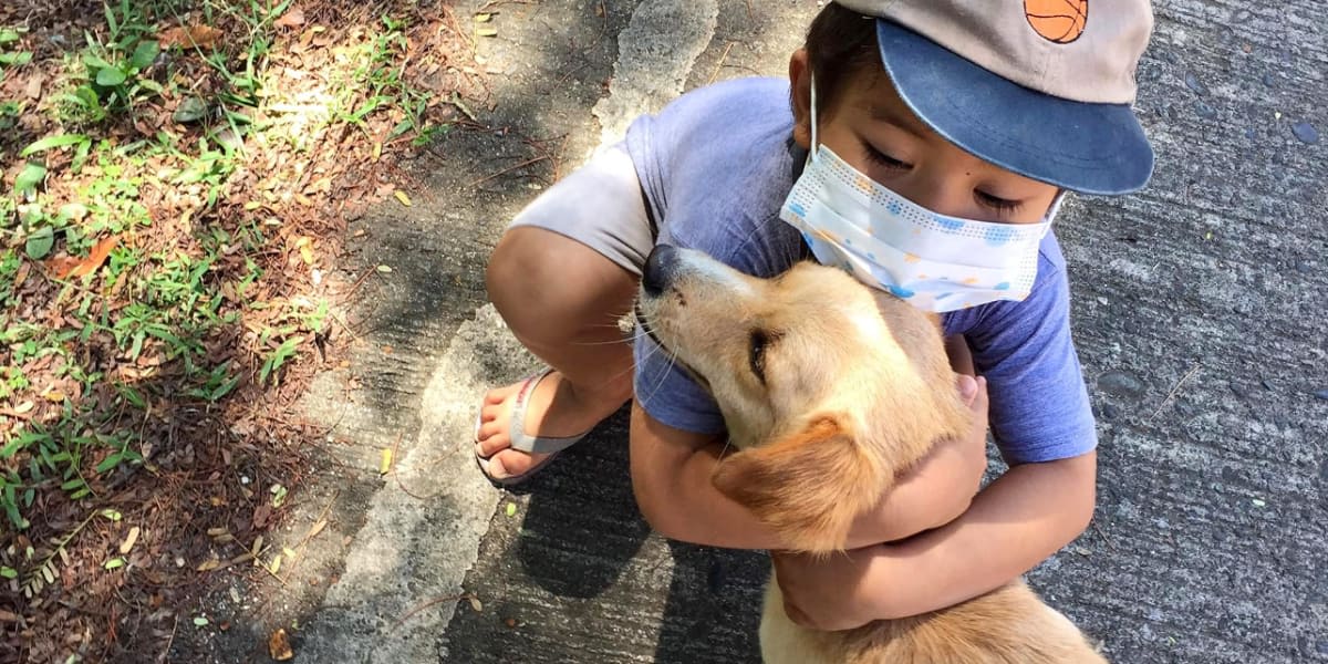Feeding strays: Sol’s birthday wish