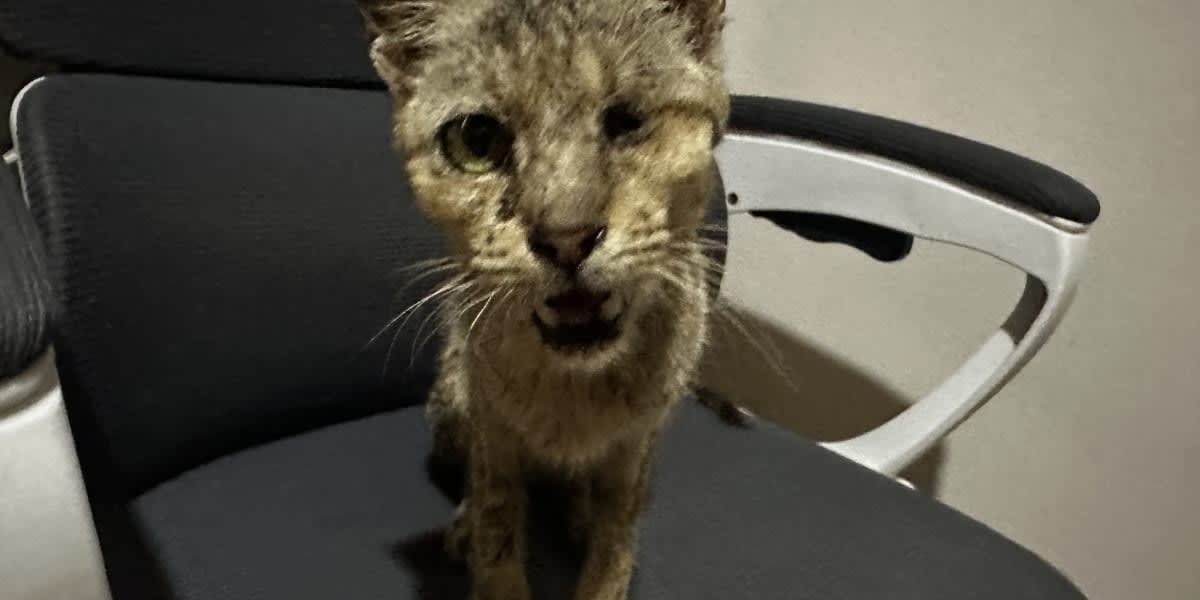 Help us Give Chance another CHANCE for a better Life