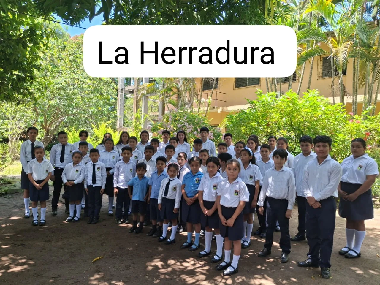Imagen de bienvenida