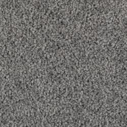 Shop By Color Catalog