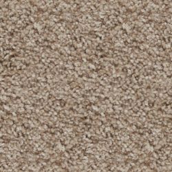 Carpet Catalog Floor To Ceiling Raider Flooring