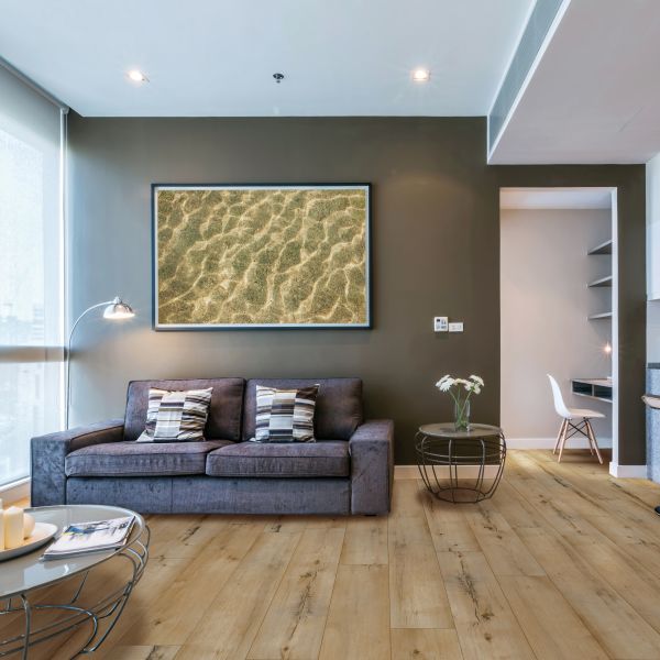 Us Floors Coretec Coretec Pro Plus Enhanced Vv100 02003 Portchester Oak