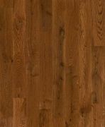 Austin Oak Austin Oak