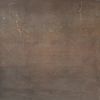 Bronzed Copper Bronzed Copper
