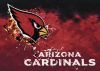 02902 Arizona Cardinals 02902 Arizona Cardinals