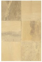 Fossil Sandstone Fossil Sandstone