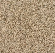 Carolina Sand Carolina Sand