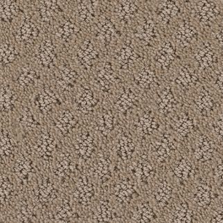 Dreamweaver Carpet Marquis 710 Parchment