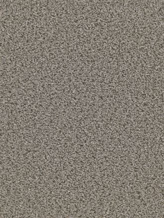 Engineered Floors Llc Dream Weaver Carpet Broadcast 835 Cinder