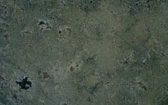 Daltile Seafoam Green Granite Slab Seafoam Green G250