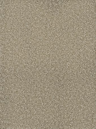 Dream Weaver Carpet Montauk 725 Quail