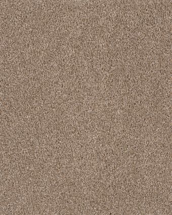 Dream Weaver Carpet Festival 100 Egyptian Sand
