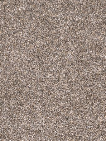 Dream Weaver Carpet Epic Ii 768 Rainforest