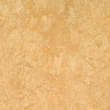 Forbo Flooring Marmoleum Click Cinch Loc Van Gogh