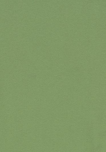 Forbo Flooring Marmoleum Bulletin Board 2213 Baby Lettuce