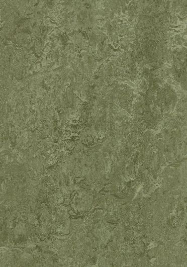 Forbo Flooring Marmoleum Marbled Sheet Real 3255 Pine Forest