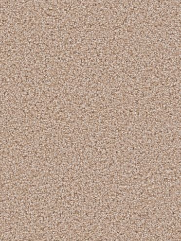 Dream Weaver Carpet Pike S Peak 701 Sawgrass