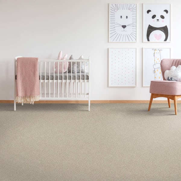 Carpet in Glen Ellyn, IL from DeSitter Flooring