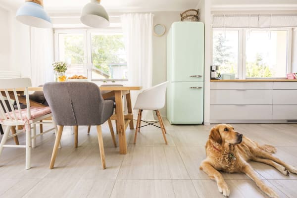 Spring Flooring Trends 2024 Akron, Ohio