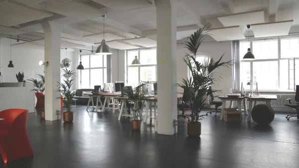 Forbo Flooring in Brooklyn, NY