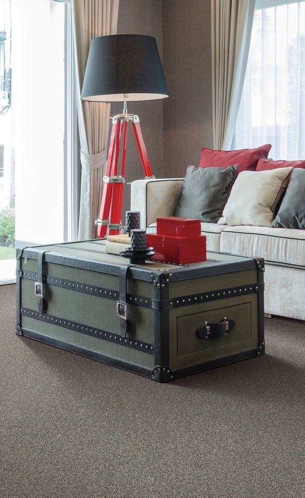 Carpet in Guelph, ON from Bigelow Flooring, Inc.