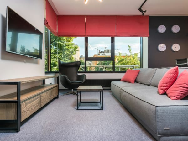 Beyond neutrals: the rise of bold patterns and colors in carpet design