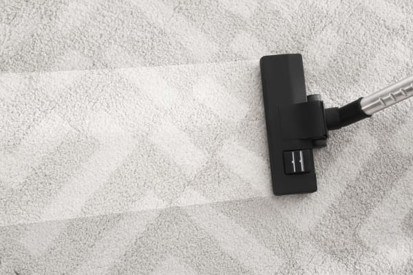 How often should I get my carpet professionally cleaned?