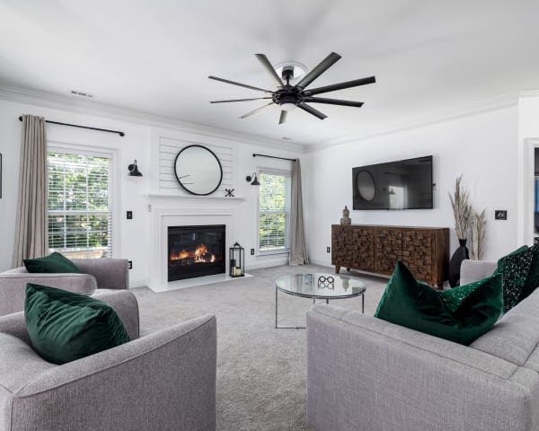 Carpet Cleaning Tips in Colordo Springs, CO