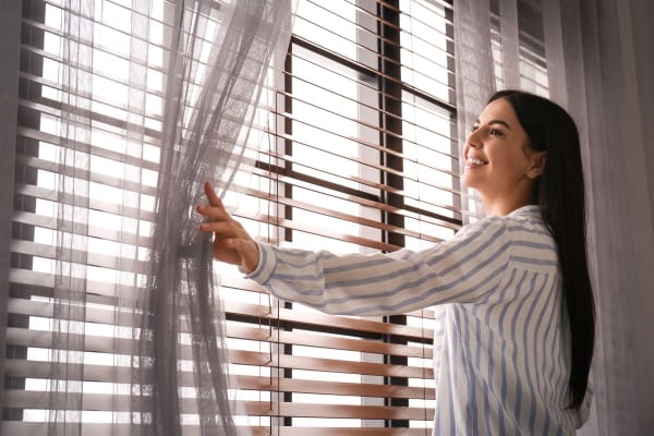Window Covering